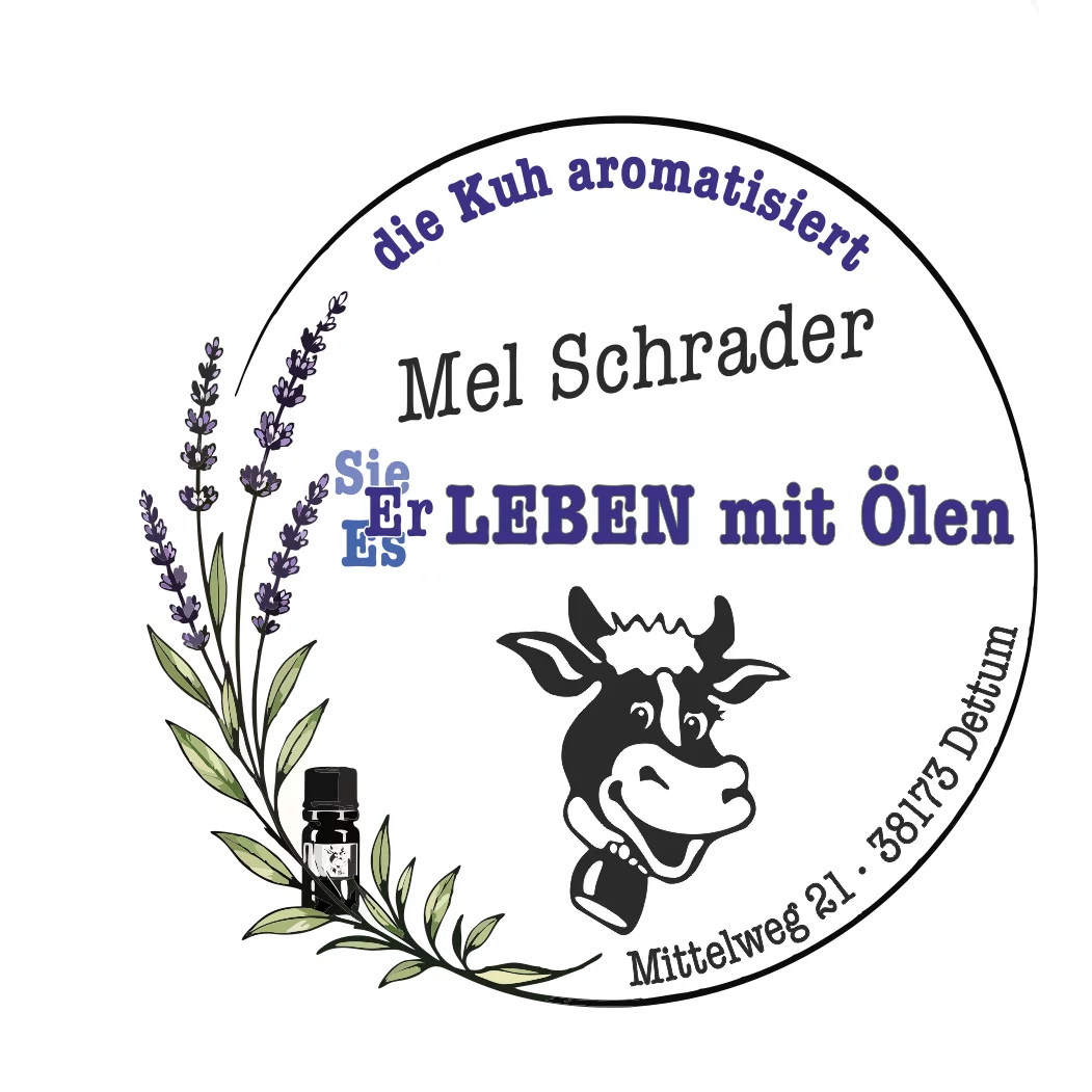 Qt - fühlen